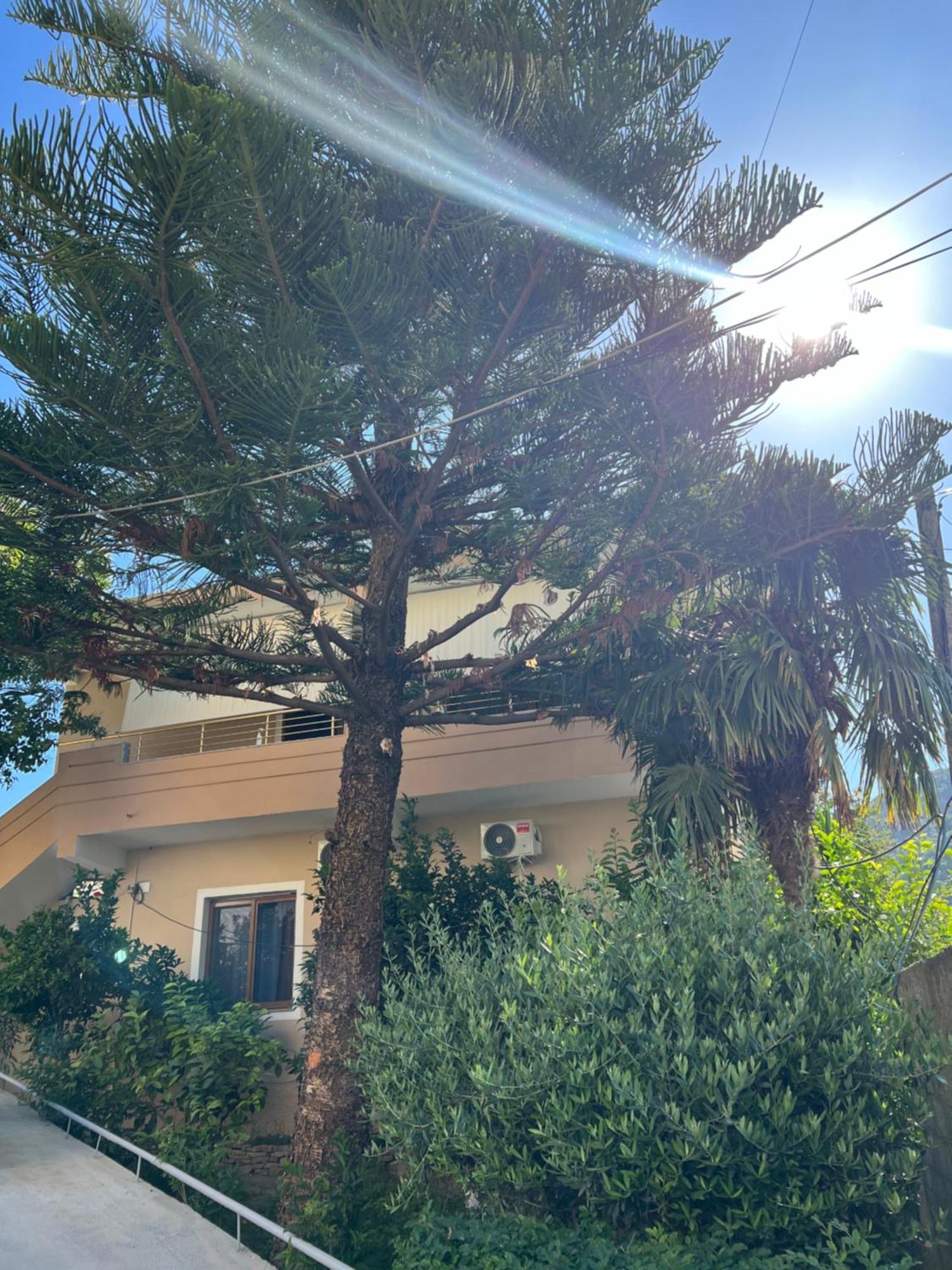 Villa Green Avlonya Dış mekan fotoğraf