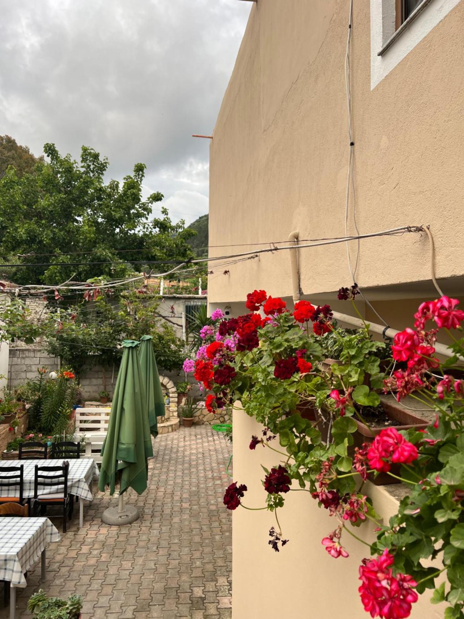 Villa Green Avlonya Dış mekan fotoğraf